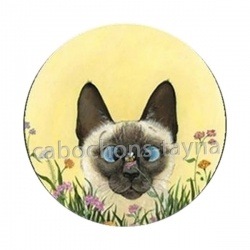 chat