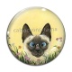 Cabochon Verre - chat