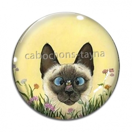 Cabochon Verre - chat