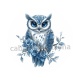 hibou
