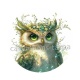 hibou