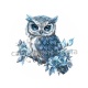hibou