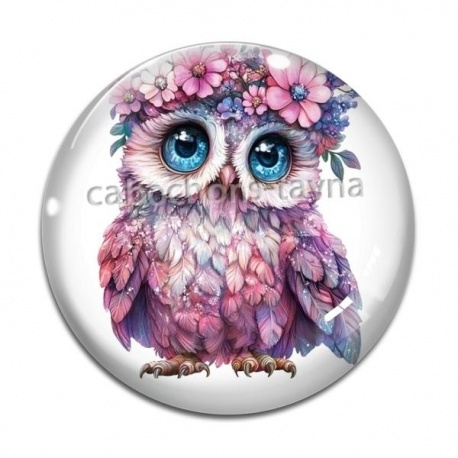 Cabochon Verre - chouette