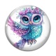 Cabochon Verre - chouette