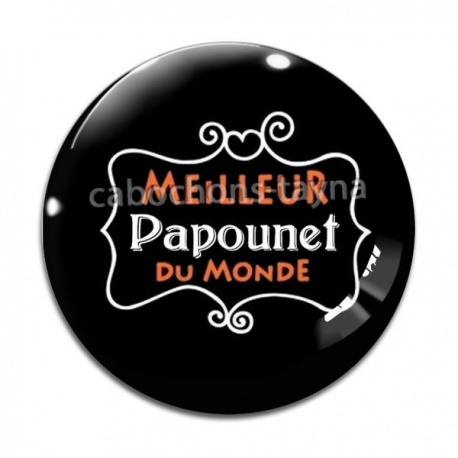 Cabochon Verre - meilleur papounet du monde