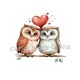 chouette