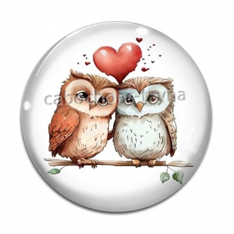 Cabochon Verre - chouette