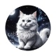 chat