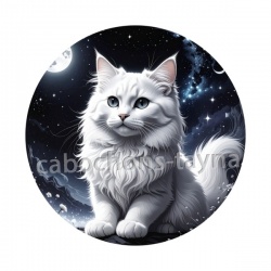 chat