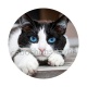chat