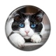 Cabochon Résine - chat