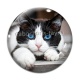 Cabochon Verre - chat