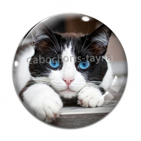 Cabochon Verre - chat
