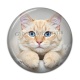 Cabochon Résine - chat