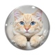 Cabochon Verre - chat
