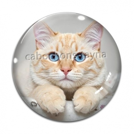 Cabochon Verre - chat