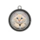 Pendentif Cabochon Argent - chat
