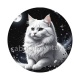 chat