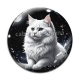 Cabochon Verre - chat