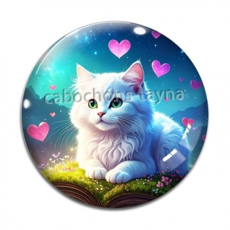 Cabochon Verre - chaton