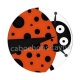 coccinelle