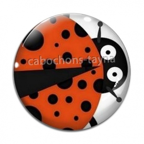 Cabochon Verre - coccinelle