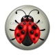 Cabochon Résine - coccinelle