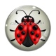 Cabochon Verre - coccinelle