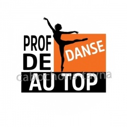 prof de danse au top