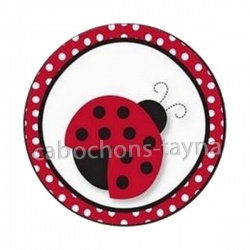 coccinelle