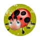 coccinelle
