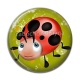 Cabochon Résine - coccinelle