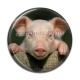 Cabochon Résine - cochon