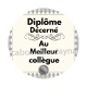 diplôme décerné au meilleur collègue