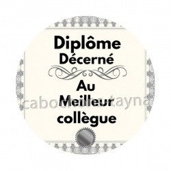 diplôme décerné au meilleur collègue