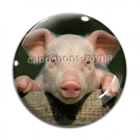 Cabochon Verre - cochon