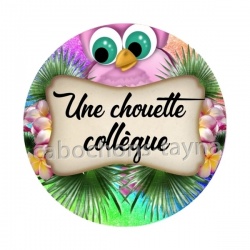 une chouette collègue