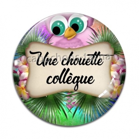 Cabochon Verre - une chouette collègue