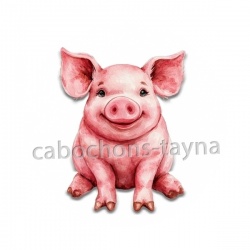 cochon