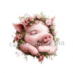 cochon