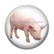 Cabochon Résine - cochon
