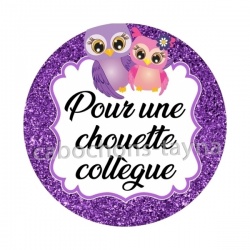 pour une chouette collègue
