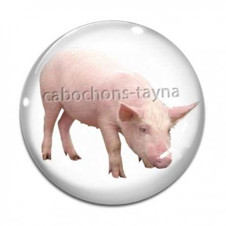 Cabochon Verre - cochon