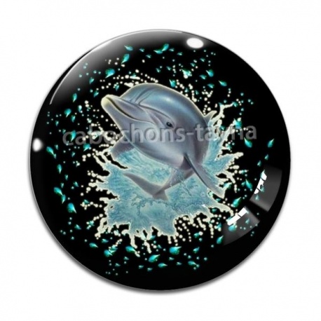 Cabochon Verre - daufin