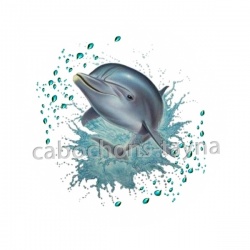 dauphin