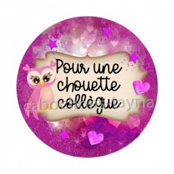 pour une chouette collègue