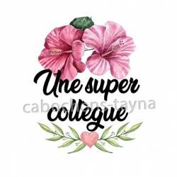 une super collègue