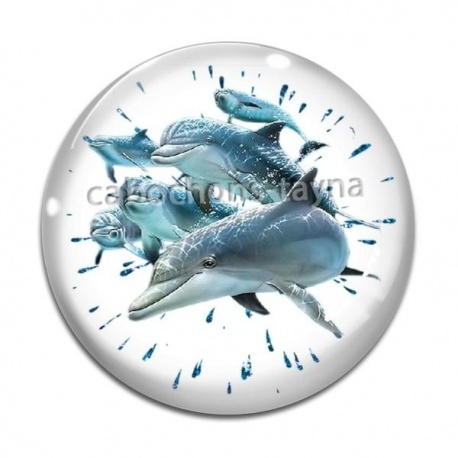 Cabochon Verre - dauphin