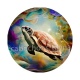 tortue
