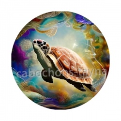 tortue